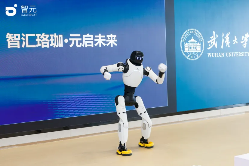 图片10.png